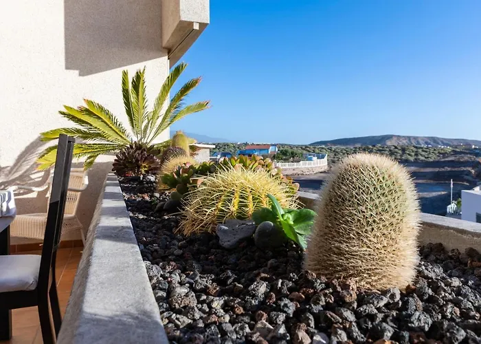 Daire Medano4you The Rosuca