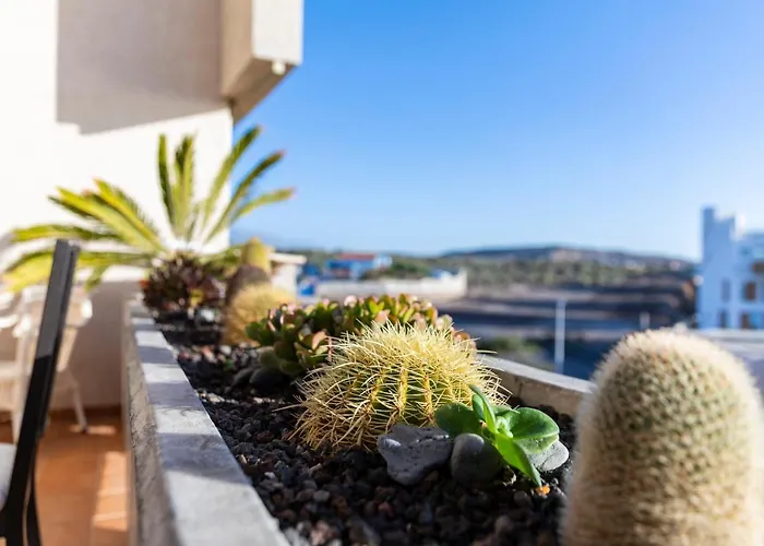 Daire Medano4you The Rosuca